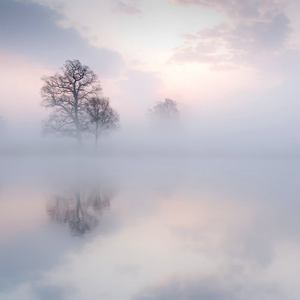 女人张开腿插插

